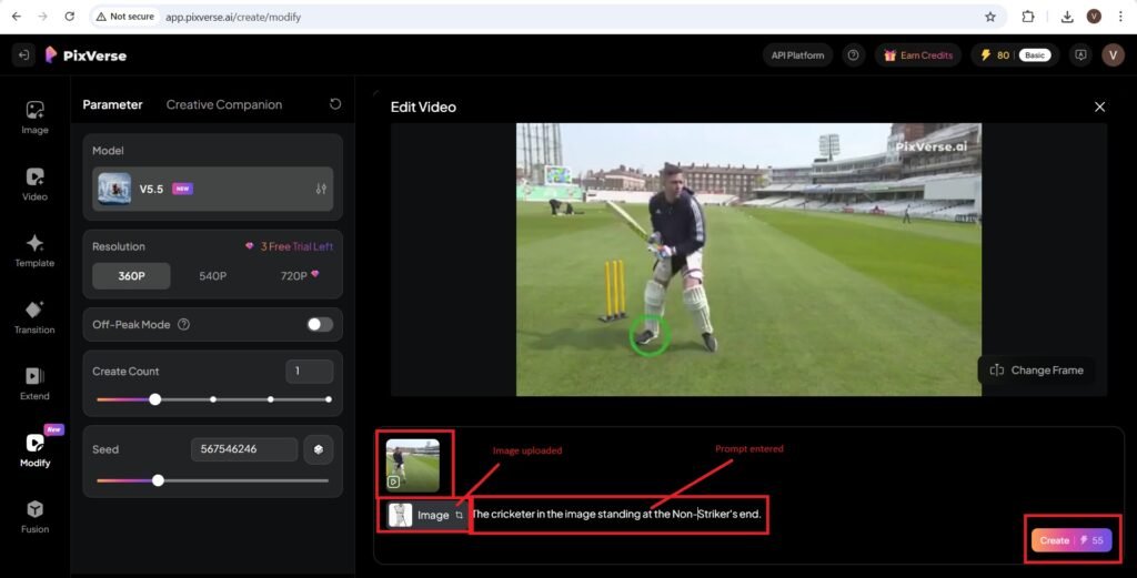 Image and prompt entered